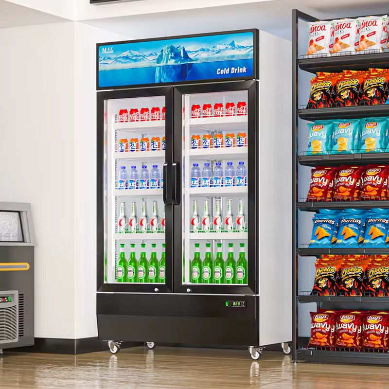 Nevera Exhibidora de 2 puerta