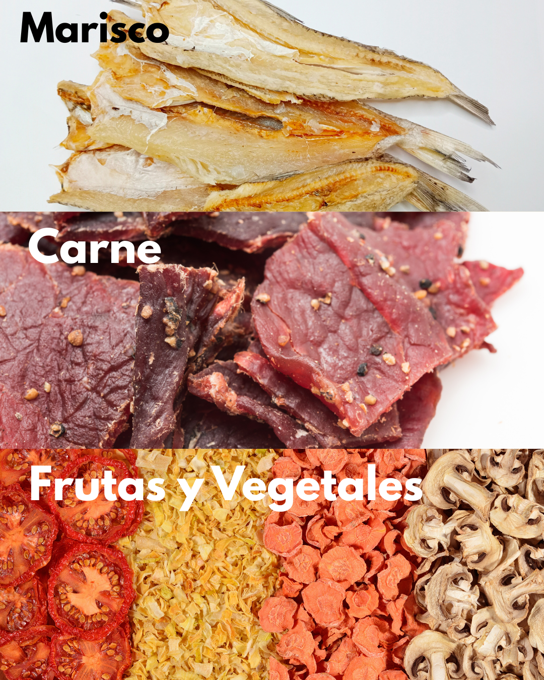 Maquina Deshidratadora de Alimentos y Frutas de 30 Niveles 110V/60hz
