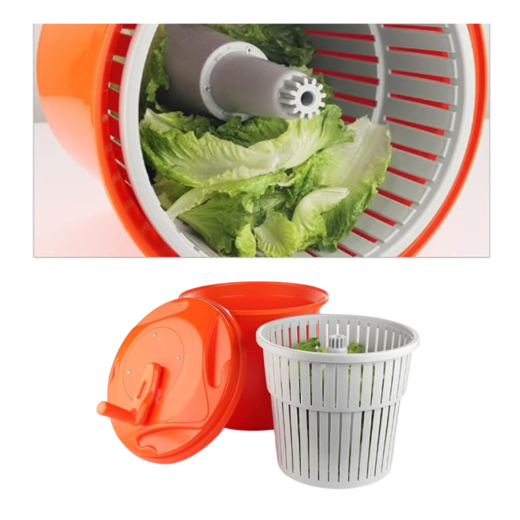 Centrifugadora de Vegetales