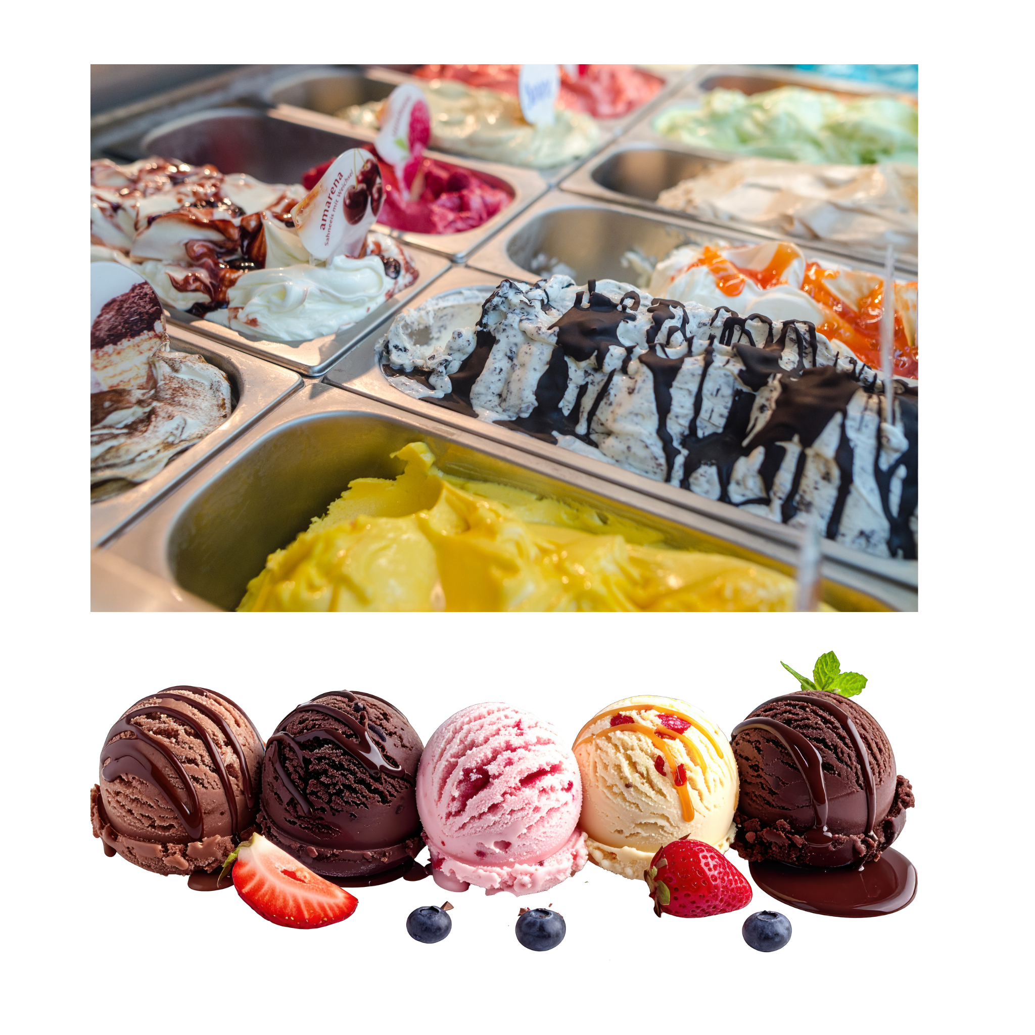 Vitrina para Helados 12 Bandejas 110V